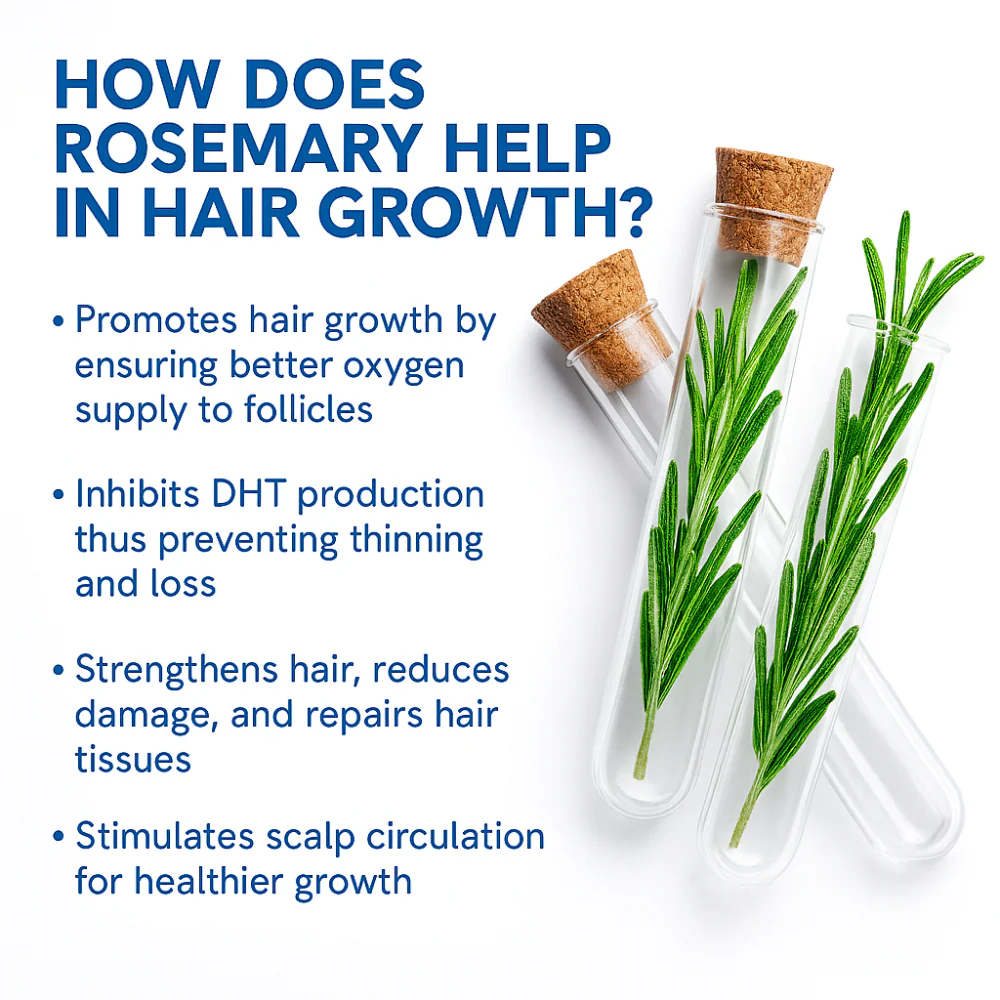 Eloura Hair Growth Serum Roll